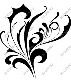  Elegant floral pattern