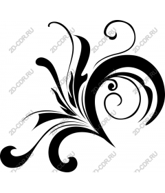  Elegant floral pattern