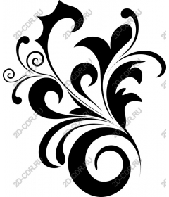  Elegant floral pattern