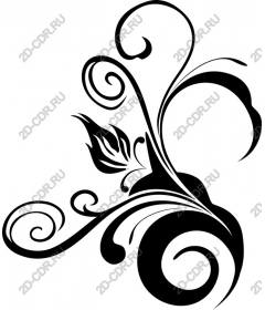  Elegant decorative flourish