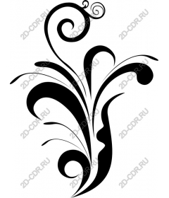 Elegant black decorative