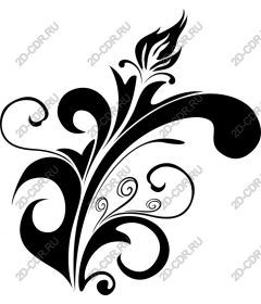  Elegant floral pattern