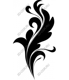  Elegant black foliage