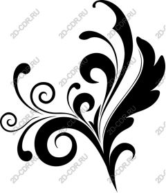  Elegant floral pattern