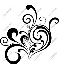  Elegant vortex