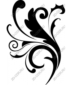  Blooming swirl