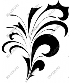  Elegant black Paisley pattern