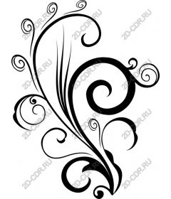  Elegant black and white ornament