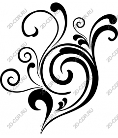  Elegant flourish