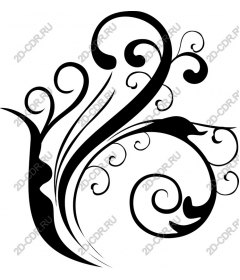  Elegant floral pattern