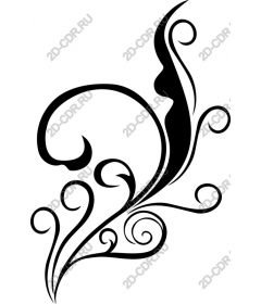  Blooming elegant black and white