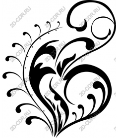  Elegant floral pattern