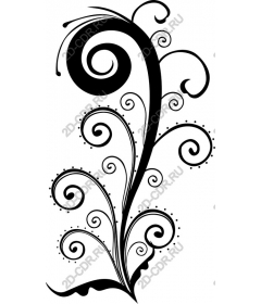  Elegant floral pattern