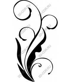  Elegant floral