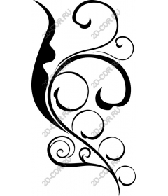  Elegant vortex