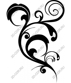  Elegant black whirlwind