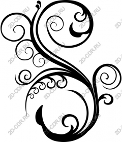  Elegant curl