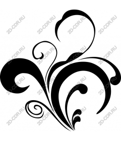  Elegant black whirlwind