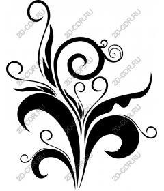  Elegant floral pattern