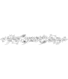  Elegant floral border