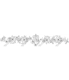 Elegant floral border