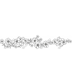  Elegant floral border