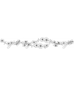  Elegant floral border