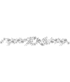  Delicate floral border