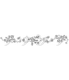 Floral elegance