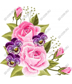  Elegant pink roses and pansies Floral