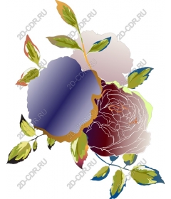  Elegant floral rose