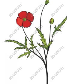 Red Flower