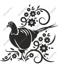  Elegant Black Bird