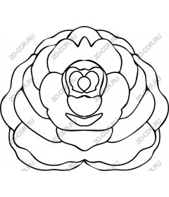  Elegant rose Line Art