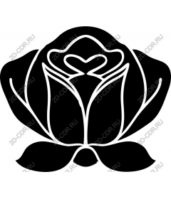  Elegant black and white rose