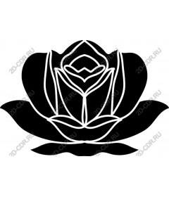 Lotus flower