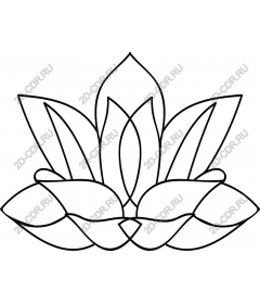 Lotus Flower