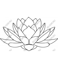 Lotus Flower