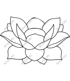 Lotus Flower