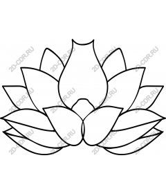 Lotus Flower