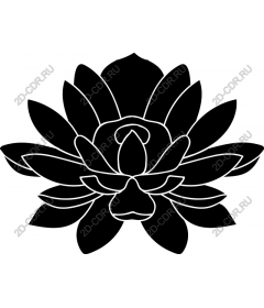 Lotus Flower