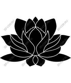 Lotus flower