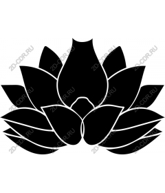 Lotus Flower