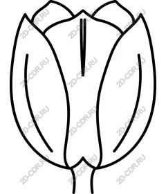 Minimalist Tulip