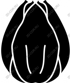 Minimalistic Tulip Bud
