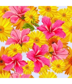 Tropical floral bliss