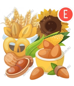  The gifts of nature — wheat, sunflower and nuts