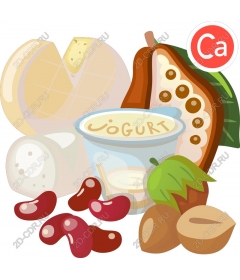  Продукты, богатые кальцием