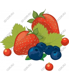  Fruit delight - Strawberries and blueberries