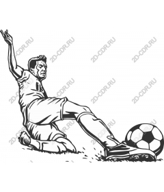 Dynamic capture soccer player